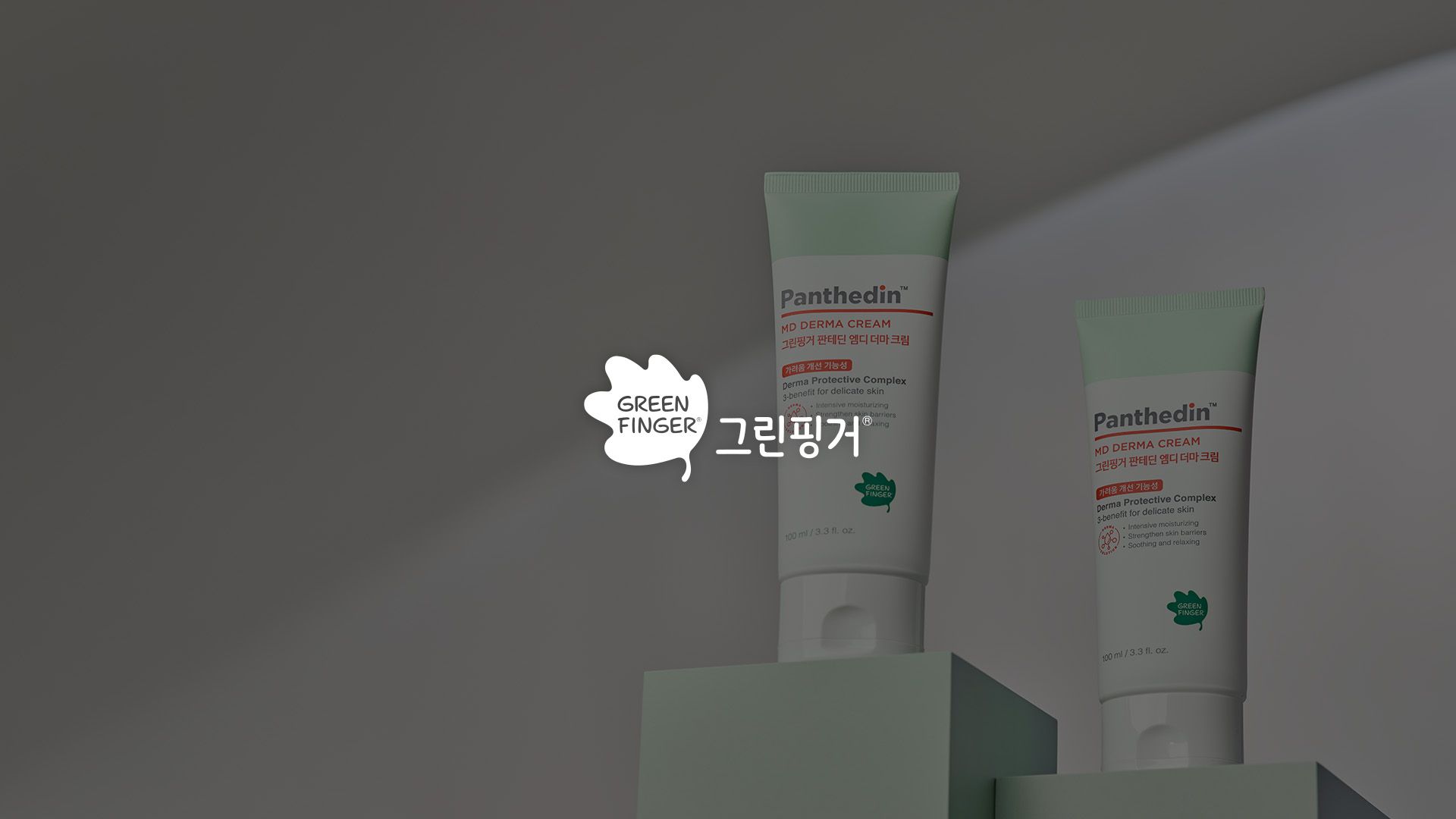 판테딘 신규 브랜드 풀퍼널 그로스 마케팅